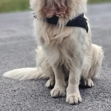 Anni Im Haus Hintertal 아파트 *