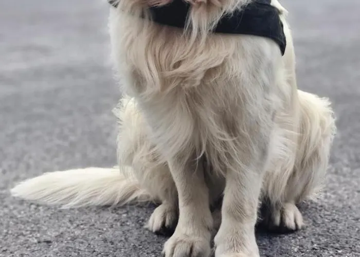 Anni Im Haus Hintertal Apartmán *